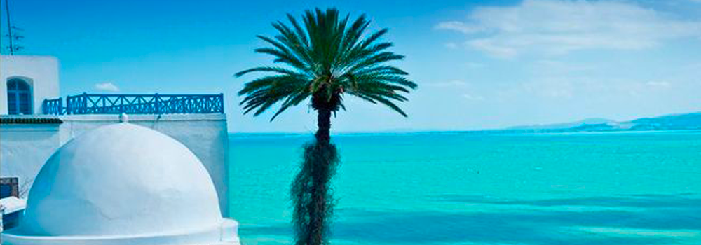 agence de tourisme médical en tunisie